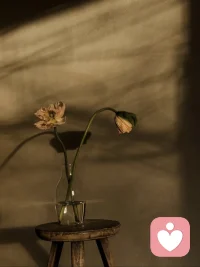 人生沒有標準答案，適合自己，才是最優解

當你知道要去哪里，
全世界都會為你讓路。

選擇比努力更重要。

了解自己，認識自己，比選擇更重要。

不管是在工作生活亦或是感情，

最重要的一環都是先認識自己。

如果能把我們所有的經歷和人生閱歷，

都指向一個目標：了解認識自己。

我們的人生之路，將越走越寬闊。

因為，越是了解自己，

越是能做出當下最適合自己的選擇。

而一旦選擇錯誤，方向就會錯。

這個錯并不是事情本身的錯與對，

而是不適合自己，

在不適合自己的方向上努力，

其實消耗的不僅是時間和精力，還有信心。

你會不斷的質疑自己，這種質疑會擊垮你的信心。

會讓你越來越不自信，陷入越來越不自知的狀態里，

甚至陷入不喜歡自己的怪圈里。然后持續性選擇錯誤。


任何時候，把認識自己這個目標放在最前面。

在經歷中，多問問自己的內心，是自己想要的嗎？

做選擇時，一定要聽從自己內心最真實的聲音，

我始終認為：

人生沒有標準答案，適合自己的，才是最優解。

最近有句話很火：

凡事發生必將有利于我。


這句話，我更想理解為，

凡事發生必有利于認識自我。

在認識自己的前提下，

才能知道自己要去哪里，

知道自己要去哪里，知道自己要什么，

一切發生才將有利于我。配圖