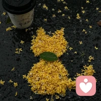 你拼命努力的樣子，雖然很狼狽。你死撐硬扛的表情，雖然很難看。但是你靠自己的樣子，真的很美。那是一種自信和底氣，由內而外散發著光芒。配圖