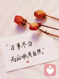 “最通透的活法：一半，一半”

生活：一半追逐，一半知足。追逐，讓你抵達遠方；知足，讓你不忘初心。

工作：一半努力，一半天意。問心無愧就是最完美的結局，全力以赴就是最大的收獲。

人生是一半打開，一半關閉。打開眼界，打開思路，打開格局。關閉圈子，關閉信息，關閉情緒。

感情：一半付出，一半隨緣，別愛太滿，才是成年人最成熟的愛情觀。

做人，一半清醒，一半糊涂。看得太清不見得是好事。糊涂一點，反而活得更輕松。

一半取，一半舍，霽月光風，不縈于懷。

一半執著，一半釋然，豁達樂觀，人生有趣。

一半煙火，一半清歡，生活有趣，人生有樂。

一半隨意一半爭，才能灑脫自在。配圖