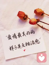 不要對任何人，付出太多

一個人，一直付出，一旦不付出了，就成了錯，成了罪。不要對任何人付出太多，因為善和好一旦過了線，換來的不會是感恩，而是理所應當。為人父母，為人子女，我們該付出，但要有度，要力所能及，要不傷自己。

有些人一直不付出，一直坐享其成，付出了一點點，就成了好人，成了最被感恩的人，人性如此。不付出太多，不是吝嗇，而是不傷己，不毀人。我們一定要敢于正視人性的復雜和晦暗，如此才能容納這個世界。

不必凡事都掏心掏肺，不必對任何人，都真心真意。有時候人假一點，不是虛偽，而是通透了自己，不那么較真，不那么執拗。沒有人非你不可，你也根本沒有那么重要。你的毫無保留，于旁人而言，何嘗不是負擔。所以，退后一點，少付出一點，不禁錮別人，也不疲累自己。配圖