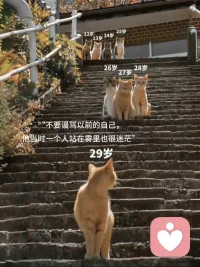 千萬別相信什么輸在起跑線上這樣的話，只有百米短跑，才在乎起跑線，人生是一場馬拉松，大家都一堆出發，誰能堅持到最后才是關鍵。配圖