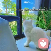 考慮別人的感受之前，不妨再考慮一下，別人有沒有考慮你的感受。需要努力維持保護的關(guān)系，都沒有存在的意義。配圖