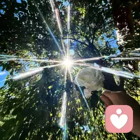 一輩子記住，這七個沒必要。

討厭一個人，沒必要翻臉；
喜歡一個人，沒必要低三下四；
錯過一個人沒必要懷念；
看穿一個人沒必要揭穿；
離開一個人沒必要傷害對方；
感恩一個人沒必要卑躬屈膝；
敬畏一個人沒必要恭維。

只有放下執念才是強大的開始。配圖