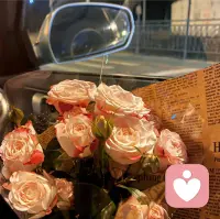 開在泥濘里的花也有明晃晃的夏天配圖