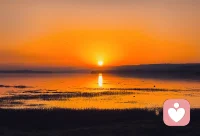 順其自然，一切都是最好的安排。



別去糾結(jié)別人是否喜歡你或愛你，因?yàn)楹芏嗍虑樵缫掩ぺぶ凶⒍āＩ咸鞎槟惆才藕线m的人出現(xiàn)在你身邊。往往不是你不夠好，而是你們不是同路人，不必太在意這些。將來不要再把某個人在你心里看得那么重，即使他是你最喜歡的朋友或最愛的人，因?yàn)樵趧e人的心里，你可能什么都不是。

屬性相同的人自然會互相吸引，最重要的是做自己，成為自己想做的人，去自己想去的地方。順其自然，別為難自己。有些情感沒了就沒了，最終無法繼續(xù)；有些人遠(yuǎn)了就遠(yuǎn)了，本來也不屬于自己。在這個世界上，誰也不是誰的永遠(yuǎn)。要學(xué)會接受失去和分離，懂得珍惜現(xiàn)在擁有的，坦然面對未來的變化。只有這樣，你才能找到真正屬于你的幸福。配圖