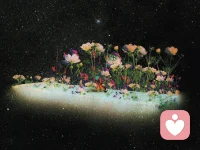 我對這個世界討厭得要命，卻又覺得這個世界好美。雖然有一大堆悲傷得讓人承受不住的事情，或是沒天理到令人無法原諒的事情，可是對于不是生為花、鳥或星星，而是以人類的身份誕生在這個世界上這件事，我并不怨恨。配圖