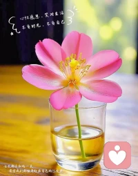 當暴風雨過去，你不會記得自己是如何度過的，你甚至不確定，暴風雨是否真正結束了，但你已不再是當初走進暴風雨里的那個人了，這就是暴風雨的意義。配圖