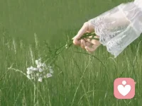 把心放寬，把事看遠

有一種薄涼是，別人一次對你不好，你就徹底否定了他過往所有對你的好。有些人就是喜歡寬以待己，卻嚴以律人，自己犯了多大的錯，也覺得別人該原諒，而別人犯了一個小錯，他就錙銖必較，根本容不下。人一旦心窄了，萬事都會不順，因為自私到只能看見自己。

凡事，把心放寬一點，別苛求自己，也別苛求他人，尤其是不要背負他人命運。哪怕父母子女，誰也無法替代誰，改變誰。與其痛苦糾結，甚至歇斯底里，不如把心放寬、放平，把事看遠。你以為的好，未必是好，你以為的差，將來也未必不能逆風翻盤。

把事看遠一點，不要只看到眼前的一點小事。更不要因為一點小事就絕望了，覺得天塌了。時過境遷，那些你覺得過不去的大事，回想起來，不過是笑談。把眼前的事，當成一種經歷，一種修行，你會發現，人生路漫漫，所有的痛苦不過如此。配圖