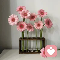 我非孤獨不合群
只恐人情未必真
寧坐山前觀云舞
不與他人論是非

心清如水自明鏡
何須世俗擾清魂
獨守真我逍遙去
笑看世間任浮沉配圖