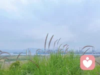 任何關(guān)系的建立，實質(zhì)上都是你與自己關(guān)系的一種延伸。因此，要想維系好人際關(guān)系（包括婚戀關(guān)系），首要之務(wù)是學(xué)會處理好與自己的關(guān)系，自洽是這一過程的起點。

如果無法妥善處理好與自己的關(guān)系，那么你嘗試建立的任何外在關(guān)系，都可能伴隨著取悅他人或隱藏真實自我的行為。配圖