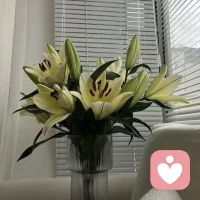 一直覺得，一個人的成熟，
遠比成功更重要，
成熟是什么？是懂得，是徹悟，是清醒，是通達。經歷了歲月的沉淀，我們漸漸有了定力與智慧，
不再浮躁，不在再沖動，不再莽撞。

平和待人，低調做事，自尊自愛，笑看世間的浮華，
不以物喜，不以己悲，活在當下，一切順其自然。配圖