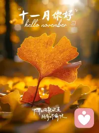 新冬可期，別想太多，好好生活，日子過著過著，就會有答案，努力走著走著，就會有溫柔的著落。配圖