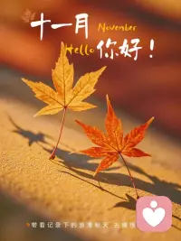 新冬可期，別想太多，好好生活，日子過著過著，就會有答案，努力走著走著，就會有溫柔的著落。配圖