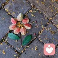 人生沒有如果，只有后果和結果。
愿我們，盡興于當下，無悔于未來。配圖