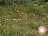 命運如同手中的掌紋，無論多曲折，始終掌握在自己手中。配圖