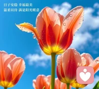 生活有鮮花，也有荊棘，
不合適的圈子，就不要強容了，
合不來的朋友，就不要交往了，
求不得的姻緣，就不要為難自己了，
等不來的結果，就不要執著了，
生活不簡單，盡量簡單過，
煙火人間，事事遺憾，事事值得……
求不得是常態，不圓滿才是生活，
心安身自在，心寬福自來！


生活可以粗糙，歲月可以不溫柔，

人心也可以涼薄，

但我們不可以不愛自己，

取悅自己，記住，

愛自己才是終身浪漫的開始。


跌跌撞撞是人生，坎坷磨難是生活，

無論你正在經歷什么，都將會過去，

請收拾好心情，內心坦蕩，繼續前行。


珍惜當下，把握余生，好好生活，

把日子過成自己喜歡的模樣，

余生很貴，我們千萬別浪費，

善待自己，努力遇見更好的自己。配圖