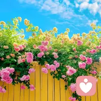 你根本不缺愛，

你就是愛本身，

因為世間萬物都在供養你。


蔬菜水果供養你、愛你。

陽光空氣供養你、愛你。
山川河流、宇宙星辰供養你、愛你。


你穿的衣服、吃的食物，

你享用的每一樣東西，你擁有的一切,
皆是無量眾生在

默默供養你、愛你，你無為報。


世間萬物萬物都在

無條件不求回報地滋養你、愛你，

只有你自己忘記了。


萬般經歷只是提醒你
愛自己、不外求，本自具足。


你就是愛本身，人間只是

經歷，允許、接納、放下、重生。?配圖