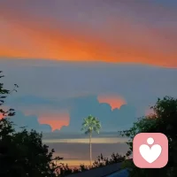 欲成大樹，莫與草爭；
將軍有劍，不斬蒼蠅；
遇爛人及時止損，遇爛事及時抽身。配圖