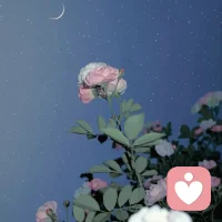 不要主動去幫助別人

不要過于主動地去幫助別人。真正需要幫助的人，會在需要時主動開口，他們之所以沒有開口，自然是他們自己能解決問題，或者是不愿意欠你的人情。在這種情況下，你的熱情和施恩，在對方看來，就不是善良，而是壓力，是打攪，是多余的行為。

過度助人，也很容易讓對方逐漸習慣這種幫助，形成依賴心理，甚至將你的付出視為理所當然。一旦你煩了，累了，或者沒有能力再提供幫助了，對方可能會因此感到不滿和失望，甚至反過來指責你。這時，你的善意不僅沒有換來感激，反而為自己增添了不必要的麻煩。

助人為樂，是一種美德，但也需要適度。要避免因為過度的熱情而傷人傷己。幫助他人時，要學會判斷對象和時機。只有當對方真正需要幫助，并且主動向你求助時，才應該考慮是否伸出援手。同時，也需要評估這個人是否值得幫助。配圖