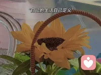 人是為活著本身而活著的，而不是為了活著之外的任何事物所活著。生活是屬于每個人自己的感受，不屬于任何別人的看法。配圖