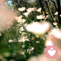 你可以是任何形式

不再堅持必須用自己喜歡的杯子喝水
不再堅持茶的味道必須不濃不淡
如果你出離了所有的執著
那么你就會變得非常自由
沒有任何事情可以激怒你或傷害你
?配圖