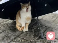 不要把希望寄托在別人身上，調整心態努力讓自己變得足夠強大，靠自己永遠是你最大的底氣。配圖