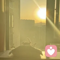 如果要改變對世界或自己的看法 (生活方式)就必須改變與世界的溝通方式 ，甚至改變自己的行為方式。

自己說話老是口是心非，看了書后才知曉講話方式、表達方式是有效溝通的前提，想起朋友多次提醒：好好說話、保持情緒的穩定，不要說反話。

好好表達自己的感受，讓對方知曉你的心情，解決問題的本質從好好溝通開始。當我換了一個說法，朋友說：這樣多好啊!配圖