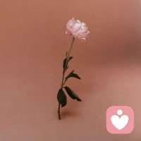 因果都是從自我出發(fā)，與他人無(wú)關(guān)。配圖