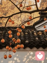 能力不夠時，別向上社交

能力不夠時，不要硬著頭皮向上社交。當你的能力尚未達到某個層次，你的努力，就會被無視，甚至冷嘲熱諷。當你的手中沒有足夠的籌碼時，他們是不會把你放在眼里的，更不會幫你。這樣的社交，只會消耗自己的時間、精力和熱情，只會給自己帶來痛苦和焦慮。

你的實力，決定了你的人脈的質量。在成人的世界里，實力才是一個人最堅實的后盾。人脈的本質是價值交換，而價值源于你自身的實力。所以，想要融入比你高的圈子，首先你要有與之匹配的能力，手中要有一定的籌碼。只有這樣，才能獲得尊重與認可。

在自己實力不夠時，與其將寶貴的時間與精力，耗費在無用的社交中，不如放下那些急功近利的念頭，摒棄那些無謂的社交焦慮，靜下心來，專注于自我成長，努力提升自己。當你足夠強大時，你會發現，那些曾經遙不可及的人脈，自然會向你靠近。配圖