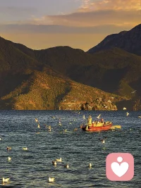 在這個(gè)世界上，如果一個(gè)人總是自我懷疑、自我否定，那么，內(nèi)心就會(huì)充滿陰霾，日子也會(huì)過得消極，整個(gè)人會(huì)活得更加迷茫、無助，甚至是痛苦。你要知道，在這個(gè)世界上，最大的敵人往往不是別人，而是自己。因?yàn)橹挥凶约海拍軌蛘嬲璧K自己的前進(jìn)。
所以，學(xué)會(huì)戰(zhàn)勝自己。然后，不再畏懼內(nèi)心的恐懼，也不再被自身的弱點(diǎn)束縛。做到超越自我，勇往直前，自然能夠讓自己在人生道路上，走得堅(jiān)定，行得高遠(yuǎn)。配圖