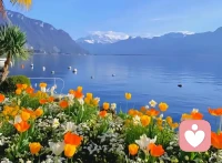 在外人面前，貶低自己的家人，真傻

有些人，總是口無遮攔。只要遇見熟人，就開始吐槽自己的家人，把愛人的糗事當談資，把愛人說得一文不值，貶低得一無是處。這種行為，會對夫妻關系造成毀滅性的打擊。孩子也會因為父母的言行而受到影響，甚至產生自卑和不安的情緒。

家，是一個共同體。讓愛人在外面丟臉，丟的不是他自己的臉，而是整個大家庭的臉。人家會因為你的話，而看不起你和你的孩子，甚至會因為你的話，讓整個大家庭蒙羞。夫妻之間的感情，會因此而破裂，一個原本和諧美滿的家庭，也會因此變得支離破碎。

吐槽或許能帶來短暫的心理平衡，但在外人面前貶低、抹黑、詆毀家人，大肆宣揚家人的糗事，卻是一大忌。這不僅關乎個人修養，更是對家人尊嚴的踐踏。管好自己的嘴，尤其是在外人面前。不要什么話都往外說，不要為了一時口舌之快，而損害了家人的形象和家庭的和諧。配圖