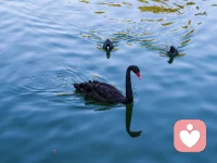 內(nèi)耗往往源于過度關(guān)注他人的感受和評(píng)價(jià)。這些人往往會(huì)為了維護(hù)和諧的關(guān)系，犧牲自己的利益和心情。例如，有網(wǎng)友提到，自己總是為了讓別人開心而忽略了自己的需求，導(dǎo)致內(nèi)心的疲憊和不滿逐漸積累。還有一些人在親密關(guān)系中內(nèi)耗，因?yàn)樗麄冞^分在意對(duì)方的感受，忽略了自身的感受。另外，內(nèi)耗也可能源自于原生家庭的影響，如果家庭環(huán)境中充滿責(zé)備和批評(píng)，個(gè)體可能會(huì)形成內(nèi)耗的習(xí)慣。
長(zhǎng)時(shí)間的內(nèi)耗不僅會(huì)損害身心健康，還會(huì)降低生活質(zhì)量。網(wǎng)友們普遍反映，內(nèi)耗讓他們感到身心俱疲，甚至?xí)绊懙焦ぷ餍屎腿穗H關(guān)系。例如，一位網(wǎng)友表示，自己在工作中經(jīng)常內(nèi)耗，導(dǎo)致情緒低落，嚴(yán)重影響了工作表現(xiàn)。另一位網(wǎng)友則提到，自己在感情中內(nèi)耗，總是擔(dān)心對(duì)方對(duì)自己的看法，這種不安定感讓他倍感煎熬。配圖