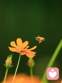 尊重所有声音，但只顺从自己。配图