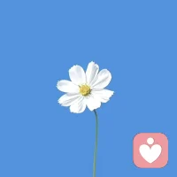 如果上癮是種依賴，而任何迷戀從一開始就要為失去依賴做準備。因為拿起是為了放下。這應該就是生死帶來的最深領悟。

人生的過程中，難免對某物，事，人有著很大的熱情與癡迷，假如一無所戀，又何談專注。

盡情寫詩吧，是因為知道有一天可能不能再寫詩；盡興去愛吧，是因為知道當有一天生命終結，將無法再投入愛；盡力去做吧。是因為無限珍惜這有限的時光，想令其不留遺憾。

我們的一生從幼年走向盛年，當一切達到最頂峰時便不再向上，而是急轉直下，又向盛年走向晚年，直至生命結束。

當你經受與承接現實所帶來的起承轉合，當你在行動中讓方向越來越清晰明確，你會享受陶醉與沉浸所帶來的美感，而非受困于其中。因為你知道自己何去何從。配圖