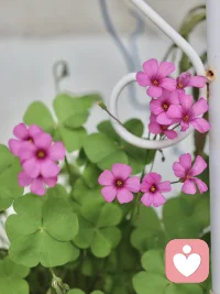 千萬別把自己養成窮相。要保持內心的豐盈，摒棄懶惰，遠離消極。只有這樣，我們才能真正主宰自己的命運，過上富足、充實的生活。希望我們都能在人生路上，堅定信念，勇往直前，成為那個最好的自己。配圖