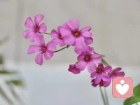 一個使自己保持高能量狀態的秘訣：不要習慣性的回顧過去那些讓你尷尬和犯了錯誤的事情，不要嫌棄自己蠢。
 
學會原諒自己，當你不斷回憶那些錯誤和囧事的時候，告訴自己:自己確實做錯了，下次不要再犯即可，不需一遍遍的回憶。
 
這件事情已經發生，不要再一遍遍的折磨自己，不斷回憶一點好處沒有，停止想他就可以了。
 
把所有的力量全部用來拯救自己，與你無關的事，別看，別聽，別摻和。一定要養成少傾聽，少見面，少扎堆，少說話的習慣。配圖