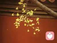 不要美化你没有选择的那条路

很多事情，正是因为错过了，才忍不住去遐想、去美化，才显得异常美丽。想象出来的美好，都是片面的，它只是你在心中构建出来的一片理想化的乐土。人总是这样，对于拥有的，往往视而不见，不甚珍惜；而对于失去的、得不到的，却充满了无尽的思念与向往。

你心中那条最好的路，只是你臆想的结果。如果真的如你所愿，你会发现，现实往往与想象大相径庭。那些看似美好的事物，在柴米油盐的琐碎中，会变得索然无味；那些你曾经憧憬的场景，也会在日复一日的重复中失去光彩。

不要美化你没有选择的那条路，也不要让遗憾成为你心中的执念。或许，你拥有的并不完美，但却是真真切切属于你的，是最值得你去关注的。别让这份已有的幸福悄然流逝。珍惜当下，珍惜已经拥有的，你会发现，生活的美好其实一直都在你身边。配图