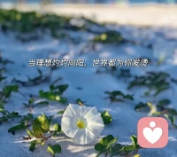 人生如同多項選擇題，真正困擾你的，往往是眾多選項，而非問題本身。配圖