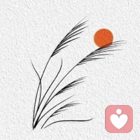 梦想不会逃跑，

只是你没追上去 。配图