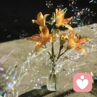 把精力從「失去了誰」轉移到「還擁有誰」上配圖