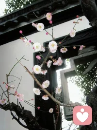 自己喜歡的東西就不要再征詢他人意見了，人生這點責任自己負。配圖