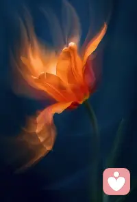 我們看錯了這個世界，卻說世界欺騙了我們。配圖