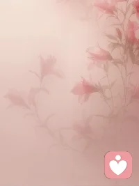 當我們看待一件事的時候，就已經失去了真相配圖