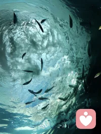 不强求所得

如果连本就不该属于你的东西你都要去强求的话，那只能说你的欲望太强烈，太容易被外界的诱惑所迷惑了。毕竟在这个世界上，不管一个人多么努力，多么渴望，都会遇到一些求而不得的事物。然后，你也会因为这些强求，把自己的内心搅得混乱不堪，甚至让生活陷入无尽的焦虑和痛苦之中。

古人云：“有心栽花花不开，无心插柳柳成荫。”努力保持内心的平和，不要因为一些渴望已久却难以实现的事物，尤其是那些本就不该属于你的，我们一定要学会及时放下执念。人生无常，福祸相依，如果你总是对某样东西执着追求太久，那么不管它对你而言是多么珍贵，都只会不断折磨着你，困扰着你。最终，你的精神状态，以及生活品质，都会深受其害，甚至让自己陷入绝望的深渊。

因为你要明白，本来你是可以把自己的心思和精力，投入到那些更适合你的事情上，然后收获更多的满足和快乐。而这些满足和快乐，其实能够极大地丰富你的内心世界，也能够增强你的生活幸福感，可是时光都偏偏被你浪费在了一些强求不得的事物上面。配图