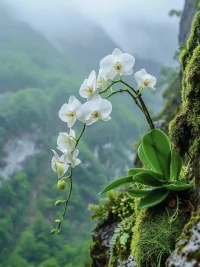 永遠要保密的三件事：
感情狀態，你的情緒和你要做的事。配圖