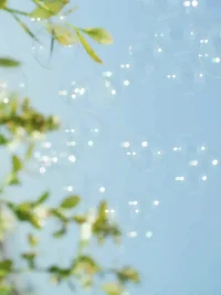 人到中年，要讓社交淡一點(diǎn)

為了更好的生活，去低三下四討好人，生活反而會(huì)更不順；為了跟同事搞好關(guān)系，費(fèi)盡心機(jī)，結(jié)果人家還不一定領(lǐng)情；為了參加個(gè)聚會(huì)，提前準(zhǔn)備好久，結(jié)果聚會(huì)結(jié)束了，除了累還是累，什么收獲都沒有。其實(shí)，這些都是因?yàn)槟惆焉缃豢吹锰亓耍讼騼?nèi)求才是最重要的。

不要總是想著依賴別人。為了不被雨淋，總是躲在別人的屋檐下，不如自己手中有把傘安心。依賴別人，或許能帶來一時(shí)的安逸，但長遠(yuǎn)來看，唯有自我強(qiáng)大，方能抵御風(fēng)雨，贏得尊重。當(dāng)你足夠強(qiáng)大，無需刻意討好，自然有人愿意與你同行。

人到中年，要學(xué)會(huì)精簡社交，讓社交淡一點(diǎn)，要把時(shí)間和精力多留給自己和家人。那些真正值得交往的人，不會(huì)因?yàn)槟闩紶柸毕褪柽h(yuǎn)你；那些真正有意義的聚會(huì)，也不會(huì)因?yàn)槟阋淮尾蝗ィ拖o蹤。把眼光放長遠(yuǎn)點(diǎn)，別被眼前的熱鬧迷了眼。配圖