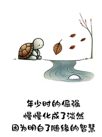 不是我變了 而是我懂了配圖