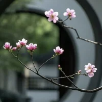 不后悔，不抱怨，盡人事，聽天命

不要費盡心思、時間、金錢，培養出一個平庸的孩子，就把所有怨氣發泄在孩子身上。學習一途，看努力，也要看天資。不要把自己對生活的焦慮，轉化給孩子。焦慮的家長，急功近利的“雞娃”，只會培養出空心的孩子。

看看孩子原本的樣子，他是否健康，是否善良，是否勇敢，是否堅強。學習只是其中的一個方面，并非全部。學習，要量孩子的能力而行。過度“雞娃”，只會讓家長筋疲力盡，孩子痛苦不堪。你生了他，無論他是天才，還是庸才，都應該坦然接受。

并不是只要“雞娃”，娃就會優秀，考高分，學習好的孩子，也不是靠打罵才學習好的。要接受，你努力過之后，娃依舊平庸，不后悔，不抱怨，盡人事，聽天命。當然也不是袖手旁觀，只是讓你接受自己的“學渣基因”，沒有在孩子身上突變成“學霸基因”。配圖