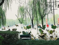 不是生活有意思，是你熱愛(ài)生活才有意思配圖