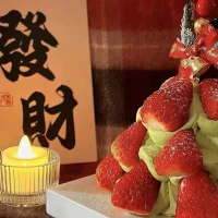 我與舊時歸于盡
來年依舊迎花開配圖